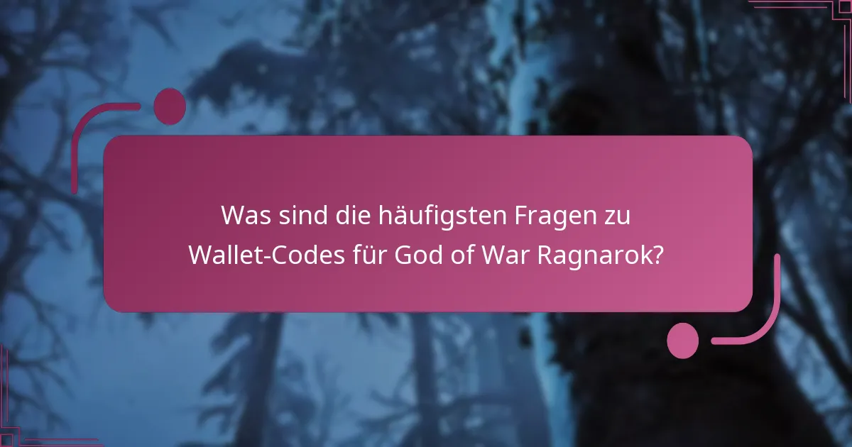 Welche Schritte zur Fehlersuche sollte ich befolgen, wenn mein Wallet-Code nicht funktioniert?